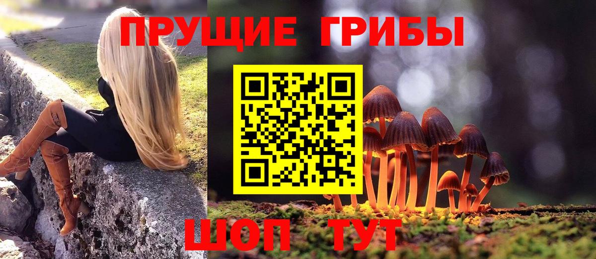 как найти   Вход с VPN  Ейск  Псилоцибиновые грибы Psilocybine cubensis 
