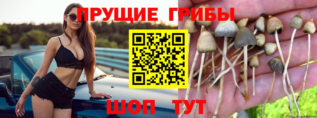 Галлюциногенные грибы Magic Shrooms Ейск